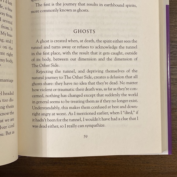 Life on the Other Side: A Psychic's Tour of the Afterlife by Sylvia Browne - Picture 6 of 11